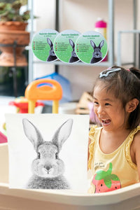 6er Set Magisches Handtuch HASE Baumwolle Zaubertuch für Kinder Zauberhandtuch Mitgebsel Geschenkidee Kindergeburtstag Geschenk Ostern