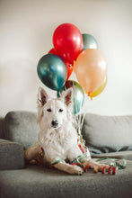 Laden Sie das Bild in den Galerie-Viewer, KAMACA Geschenkschachtel PRÄMIE ZUM VERBALLERN Tortenstück für Geldgeschenke kleine Geschenke Präsente Männer Geschenkverpackung Geld Gutschein Geburtstag
