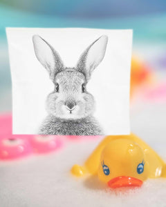 6er Set Magisches Handtuch HASE Baumwolle Zaubertuch für Kinder Zauberhandtuch Mitgebsel Geschenkidee Kindergeburtstag Geschenk Ostern