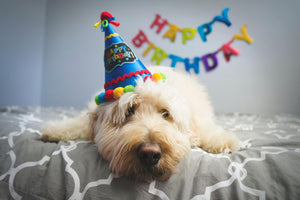 KAMACA Geschenkschachtel HAPPY BIRTHDAY Tortenstück für Geldgeschenke kleine Geschenke Präsente Geschenkverpackung Geld Gutschein Geburtstag