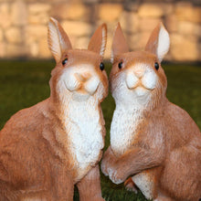 Laden Sie das Bild in den Galerie-Viewer, 2er Set XL Hase Osterhase aus Polyresin Frühling Deko Ostern Osterdeko Osterfigur Frühling Frühlingsdeko Wohnzimmer Garten Balkon Dekohase innen außen
